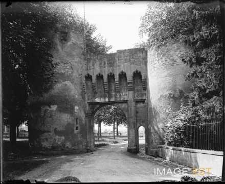 Porte d'entrée du château (Vic-sur-Seille)